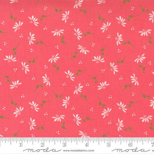 Sincerely Yours Dainty Floral Daisy Flamingo 37612-14 W65 Fabrics Moda Fabrics