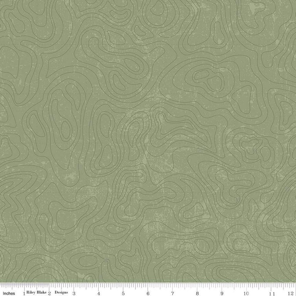 National Parks Topographic Green C13293-Green Fabrics Riley Blake