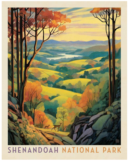 National Parks Shenandoah PD16135-Panel Fabrics Riley Blake