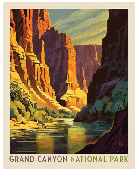 National Parks Grand Canyon PD16131-Panel Fabrics Riley Blake