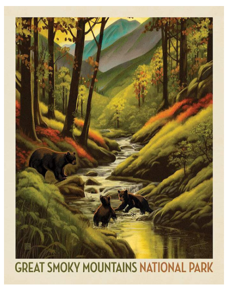 National Parks Great Smoky Mountains PD16132-Panel Fabrics Riley Blake