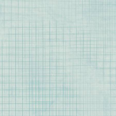Darling Ducklings Graph Paper Blue T-25-47 Fabrics P&B Textiles